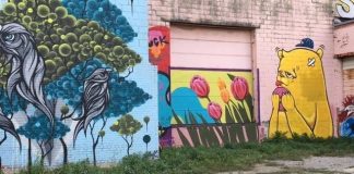 Motor City Brew Tours - mural tours