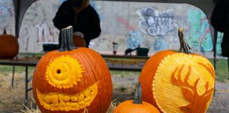 Harvest Fest and Food Truck Rally
