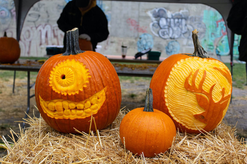 Harvest Fest and Food Truck Rally