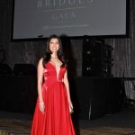 building bridges gala