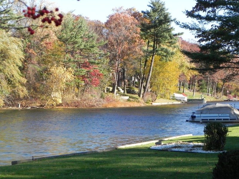 Joan-King-water-front-web-image-2023