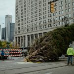 Detroit's Christmas tree being lifted