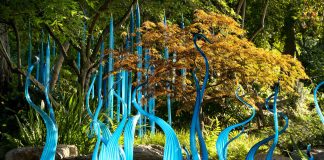 Fredrick Meijer Gardens and Sculpture Park