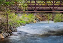 Bridge over Paint Creek