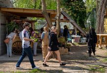 Beaverland Farms offers pastured poultry and flowers in addition to fresh vegetables for purchase.