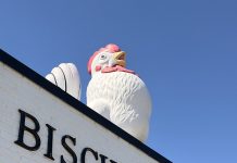 The Clawson Chicken