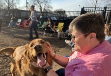 6 Dog-friendly Bars in Metro Detroit A happy dog being pet by a woman.