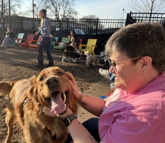6 Dog-friendly Bars in Metro Detroit A happy dog being pet by a woman.