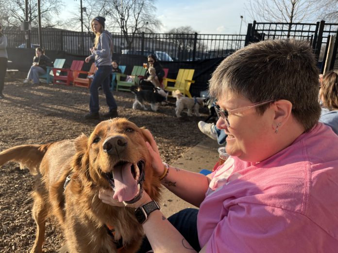 IMG_8849 A happy dog being pet by a woman.