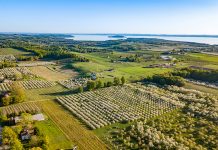 Traverse City aerial view
