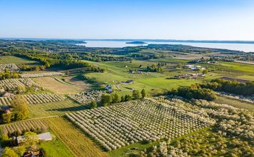 A Field Guide to Traverse City Fine Dining Traverse City aerial view