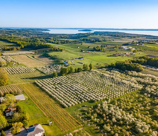 Traverse City aerial view