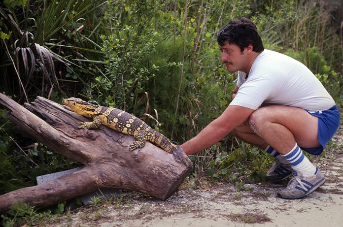Photograph by Bill Love. Courtesy of Goode Films:HBO tom-crutchfield-with-large-monitor-lizard-c-1970s copy Tom Crutchfield with large monitor lizard in the 1970s.