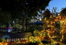 37 Things to Do in Metro Detroit This Weekend (Oct. 9-11) Cider in the City