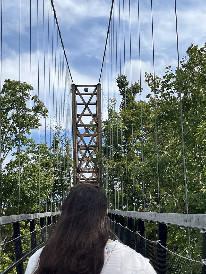 SkyBridge