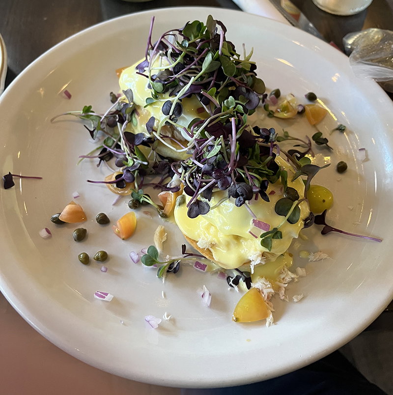 Whitefish Benedict