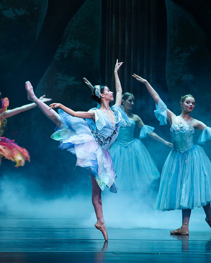 The Nutcracker